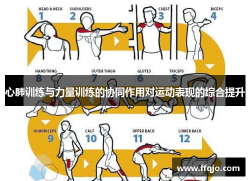 心肺训练与力量训练的协同作用对运动表现的综合提升
